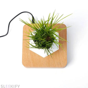 The HowerPlant™ Sleekify